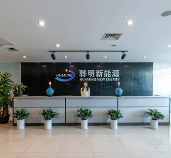 Development and Experience